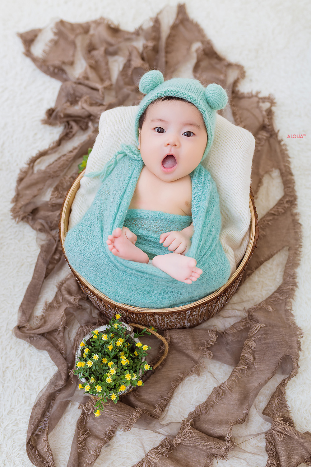 album ảnh newborn 10